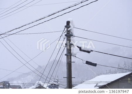 Snow-covered telegraph pole (snow) 11 Snow-covered telegraph pole (snow) 11 136197947