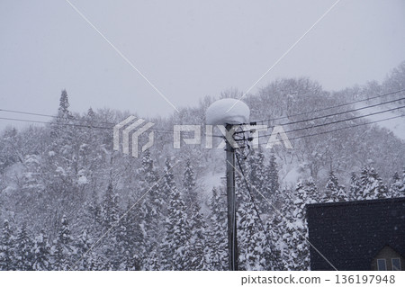 被雪覆蓋的電線桿(雪)12 被雪覆蓋的電線桿(雪)12 136197948