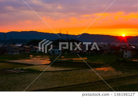 Rural evening landscape 136198127