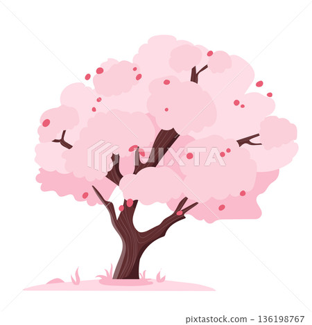 Sakura tree blooming in flat design. Japanese spring cherry blossoms. Vector illustration isolated. 136198767
