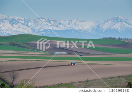 春季在丘陵和十勝山脈的雪山上進行農活 春季在丘陵和十勝山脈的雪山上進行農活 136199188