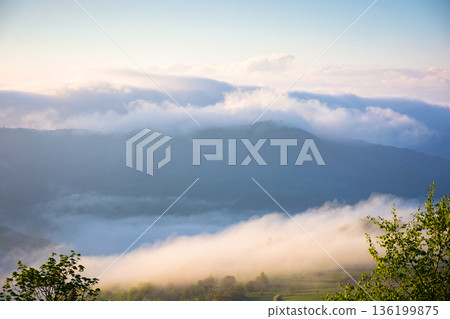 mountain landscape in fog. countryside spring scenery with cloudscape rolling above peaks. fantastic view in to the valley full of cold mist. perechyn highland of transcarpathia in forenoon light mountain landscape in fog. countryside spring scenery with cloudscape rolling above peaks. fantastic view in to the valley full of cold mist. perechyn highland of transcarpathia in forenoon light 136199875