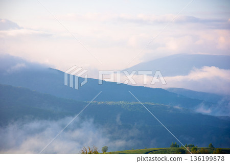 mountain landscape in fog. countryside spring scenery with cloudscape rolling above peaks. fantastic view in to the valley full of cold mist. perechyn highland of transcarpathia in forenoon light mountain landscape in fog. countryside spring scenery with cloudscape rolling above peaks. fantastic view in to the valley full of cold mist. perechyn highland of transcarpathia in forenoon light 136199878