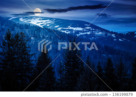 coniferous forest in mountain landscape in spring at night. lush green nature environment with dark sky in full moon light. view of snow peaks. background for fake news or conspiracy concept coniferous forest in mountain landscape in spring at night. lush green nature environment with dark sky in full moon light. view of snow peaks. background for fake news or conspiracy concept 136199879