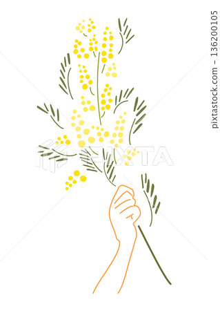 簡單的含羞草插圖 136200105