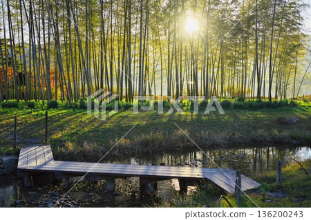 Autumn in Sagano, Kyoto - Heiango - Bamboo forest and wooden bridge in the sunlight filtering through the trees 136200243