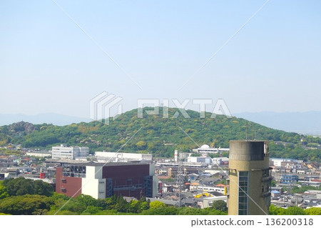Iwaya Green Space, Toyohashi City, Aichi Prefecture 136200318