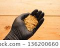 Male hand holding brown rice 136200660