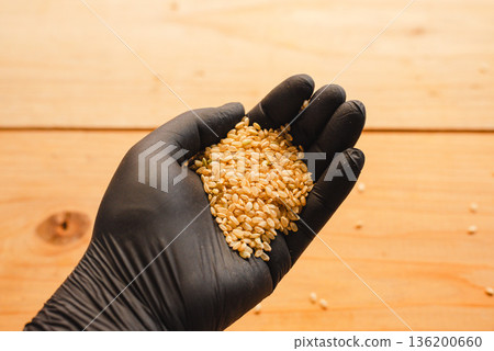 Male hand holding brown rice Male hand holding brown rice 136200660