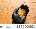 Male hand holding brown rice 136200661