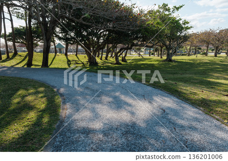 沖繩的景色。重燃對和平的渴望。 沖繩的景色。重燃對和平的渴望。 136201006