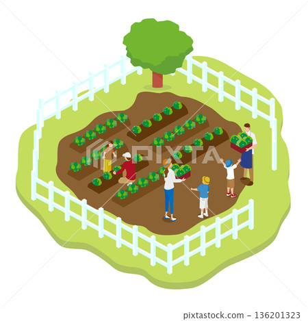Isometric illustration of a family experiencing harvesting in a home garden (farm/food education) 136201323