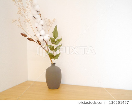 白色背景,乾燥花 白色背景,乾燥花 136201437
