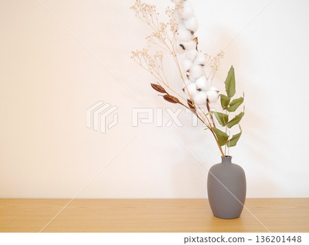 White background, dried flowers 136201448