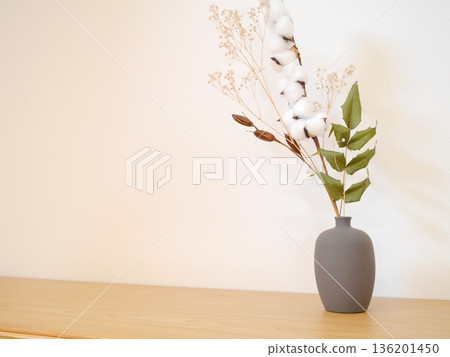 白色背景,乾燥花 白色背景,乾燥花 136201450