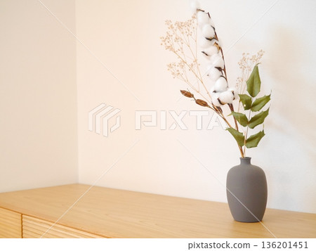 White background, dried flowers White background, dried flowers 136201451