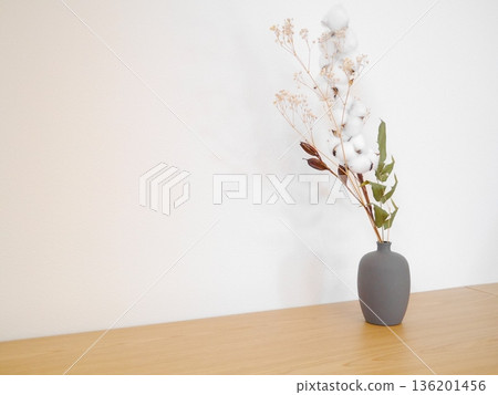 White background, dried flowers White background, dried flowers 136201456