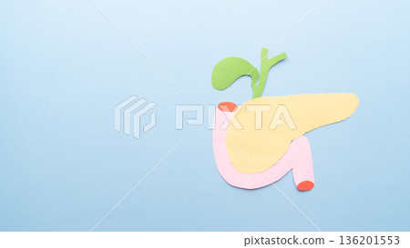 Pancreas and gallbladder organ shape made from paper on light blue background. 136201553