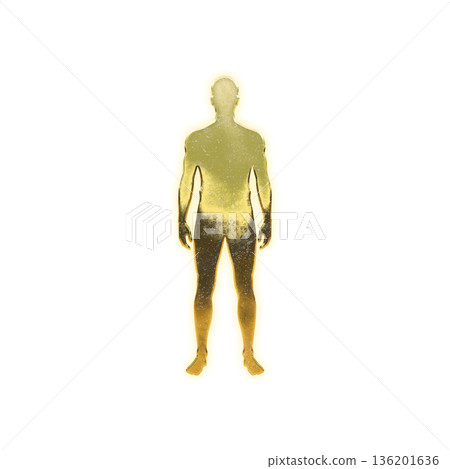 Golden man standing upright, Alpha channel 136201636
