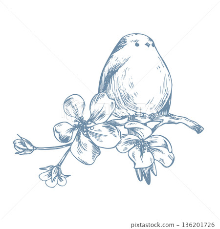 A bird perched on a blossoming apple tree branch. A titmouse in flowers. A hand-drawn, monochrome, line-art graphic illustration. Suitable for spring holidays and weddings. A bird perched on a blossoming apple tree branch. A titmouse in flowers. A hand-drawn, monochrome, line-art graphic illustration. Suitable for spring holidays and weddings. 136201726