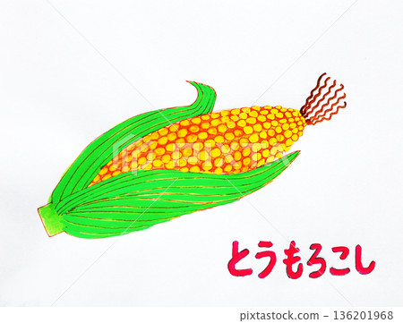 Pop hand drawn illustration peeled corn Pop hand drawn illustration peeled corn 136201968