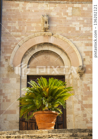 Entrance to old building with potted plant in Assisi 136202121