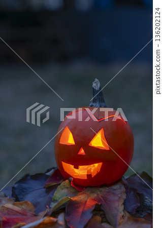 Jack o' lantern pumpkin glowing with light on autumn leaves Jack o' lantern pumpkin glowing with light on autumn leaves 136202124