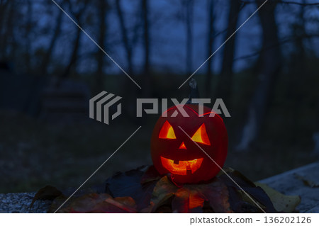 Halloween jack o' lantern glowing in dark forest Halloween jack o' lantern glowing in dark forest 136202126