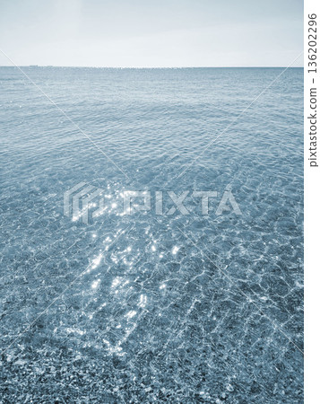 Clean transparent water on shallow sandy seashore with shells with shells on sunny summer day. Sun glare on surface of water. Small waves on sea coast. Nature backdrop. Natural background 136202296