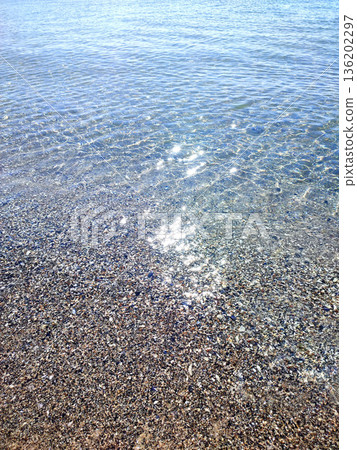 Clean transparent water on shallow sandy seashore with shells with shells on sunny summer day. Sun glare on surface of water. Small waves on sea coast. Nature backdrop. Natural background 136202297