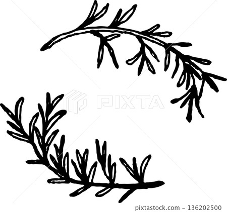 Rosemary frame Rosemary frame 136202500