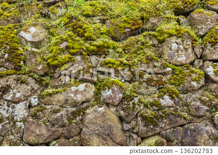 Stone walls of Tsuruga Castle (Aizuwakamatsu City, Fukushima Prefecture) 136202783
