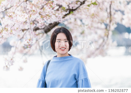 A young woman sightseeing while watching the cherry blossoms 136202877
