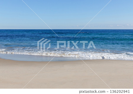 藍色的大海和沙灘 136202941