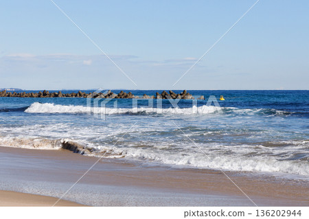 藍色的大海和沙灘 136202944