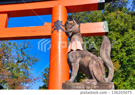 京都伏見稻荷大社的守護狐狸（京都府京都市伏見區） 136203075