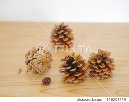 松果 松果 136203339