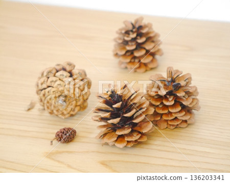 Pinecone Pinecone 136203341