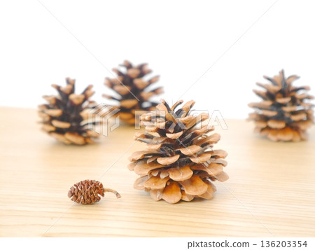 Pinecone Pinecone 136203354