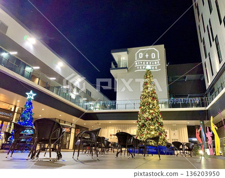 裝飾著聖誕樹的大鳥川河畔露台夜景(大鳥川綠地/愛知縣岡崎市) 裝飾著聖誕樹的大鳥川河畔露台夜景(大鳥川綠地/愛知縣岡崎市) 136203950