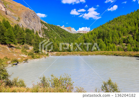 View of Moosjisee lake and the Swiss Alps at summer on the Five Lakes Trail in Zermatt, Switzerland View of Moosjisee lake and the Swiss Alps at summer on the Five Lakes Trail in Zermatt, Switzerland 136204182