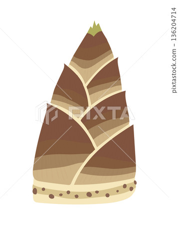 A simple illustration of bamboo shoots used in Japanese cuisine A simple illustration of bamboo shoots used in Japanese cuisine 136204714