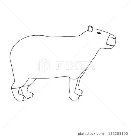 Vector flat hand drawn capybara Vector flat hand drawn capybara 136205100