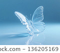 Glass Butterfly 136205169