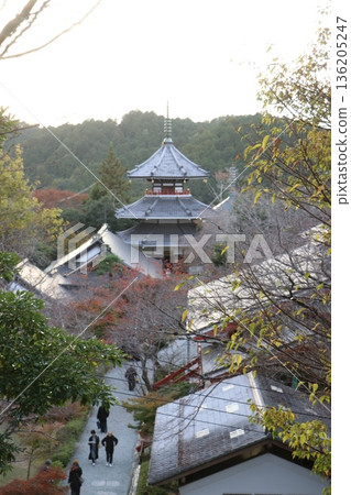 [金普泉寺（高分辨率版）]奈良吉野郡吉野町吉野山 136205247