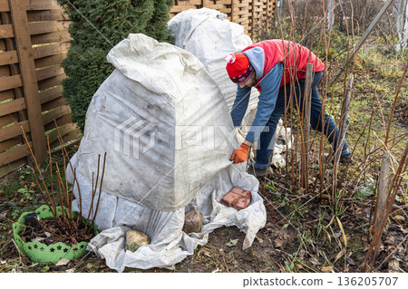 Winter Protection for Garden, winter shelter for garden plants, shelter rhododendrons 136205707