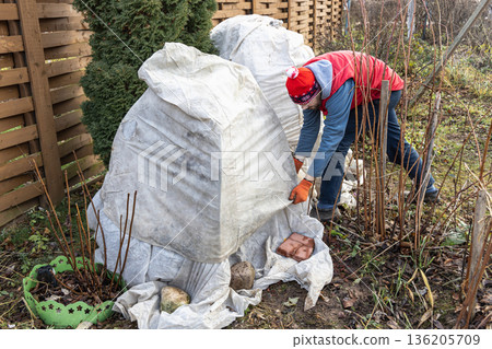 Winter Protection for Garden, winter shelter for garden plants, shelter rhododendrons 136205709
