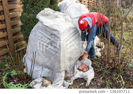 Winter Protection for Garden, winter shelter for garden plants, shelter rhododendrons Winter Protection for Garden, winter shelter for garden plants, shelter rhododendrons 136205711