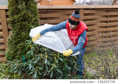 Winter Protection for garden, winter shelter for garden plants, shelter rhododendrons Winter Protection for garden, winter shelter for garden plants, shelter rhododendrons 136205726