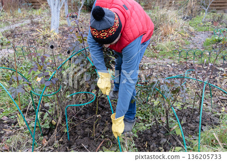Winter Protection for garden, winter shelter for garden plants, shelter rhododendrons 136205733